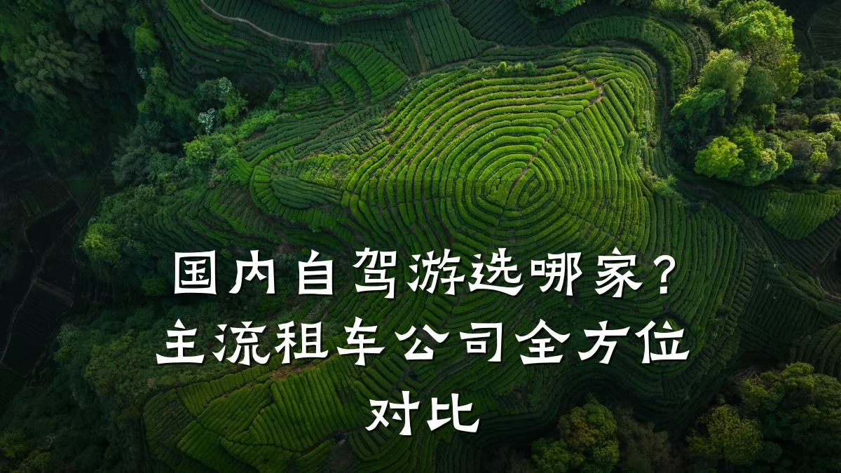 国内自驾游选哪家？主流租车公司全方位对比