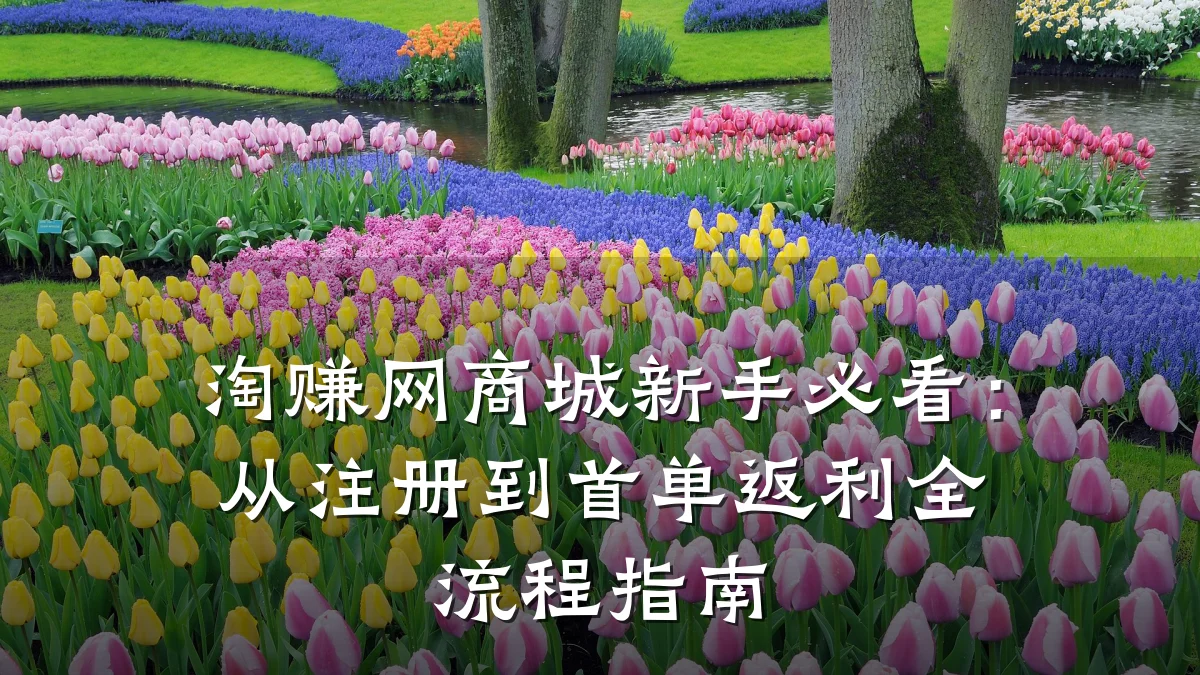 淘赚网商城新手必看:从注册到首单返利全流程指南