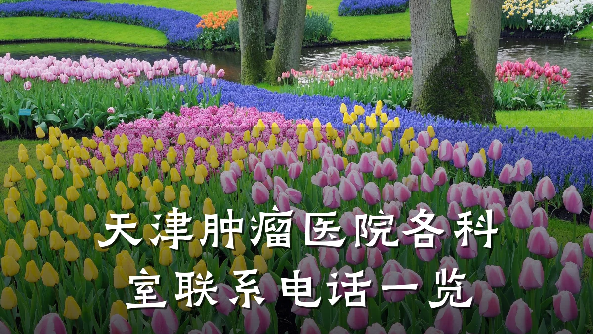 天津肿瘤医院各科室联系电话一览