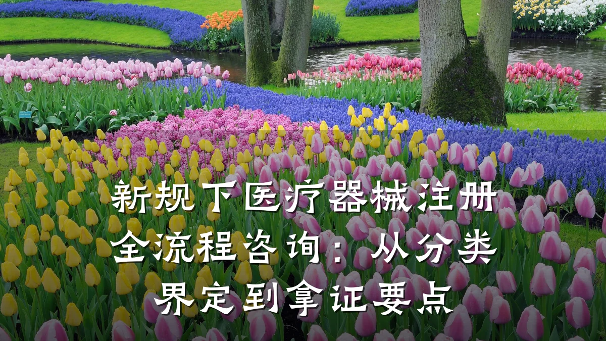 新规下医疗器械注册全流程咨询:从分类界定到拿证要点