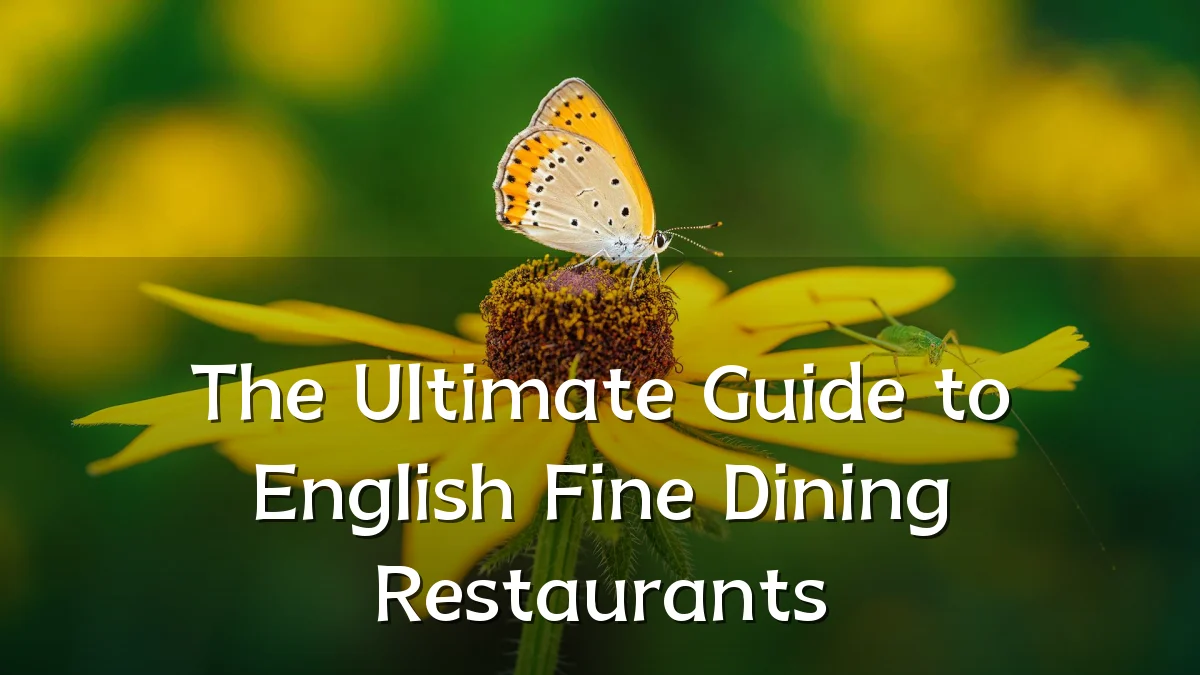 The Ultimate Guide to English Fine Dining Restaurants