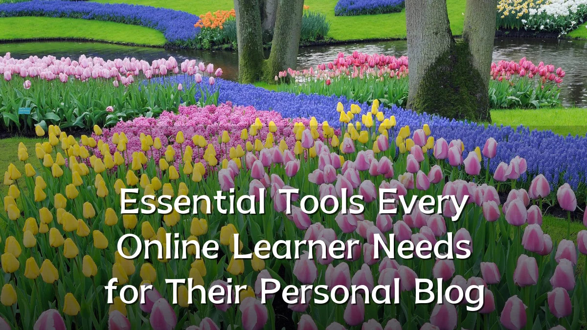 Essential Tools Every Online Learner Needs for Their Personal Blog