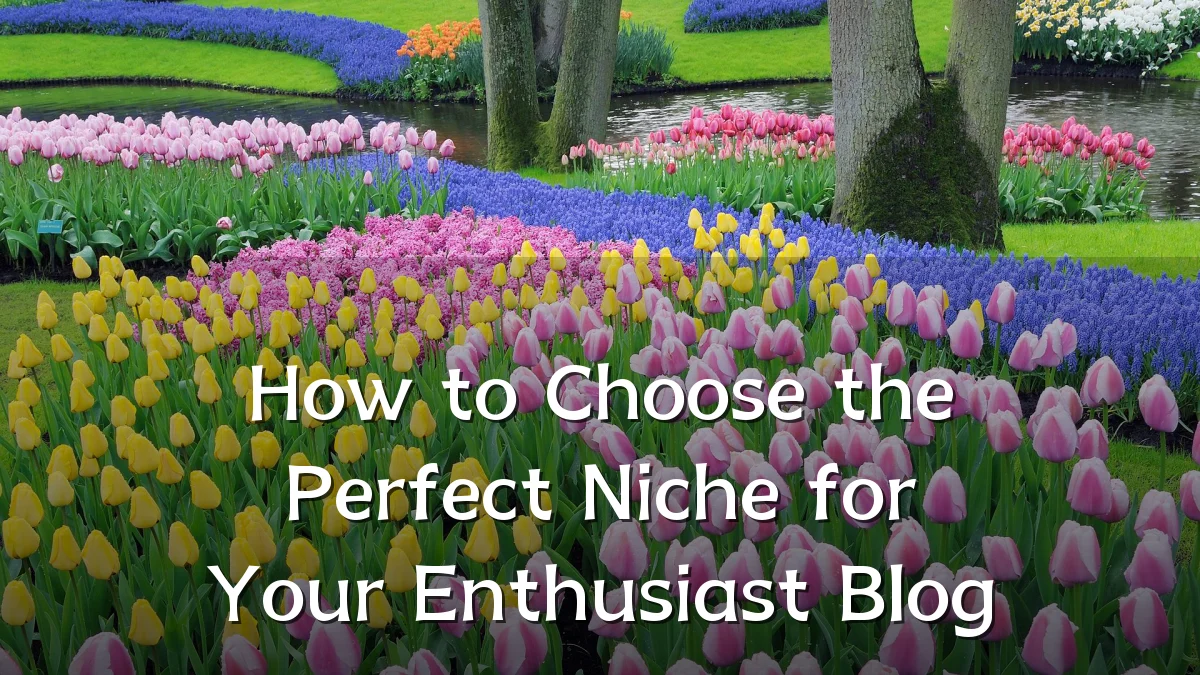 How to Choose the Perfect Niche for Your Enthusiast Blog
