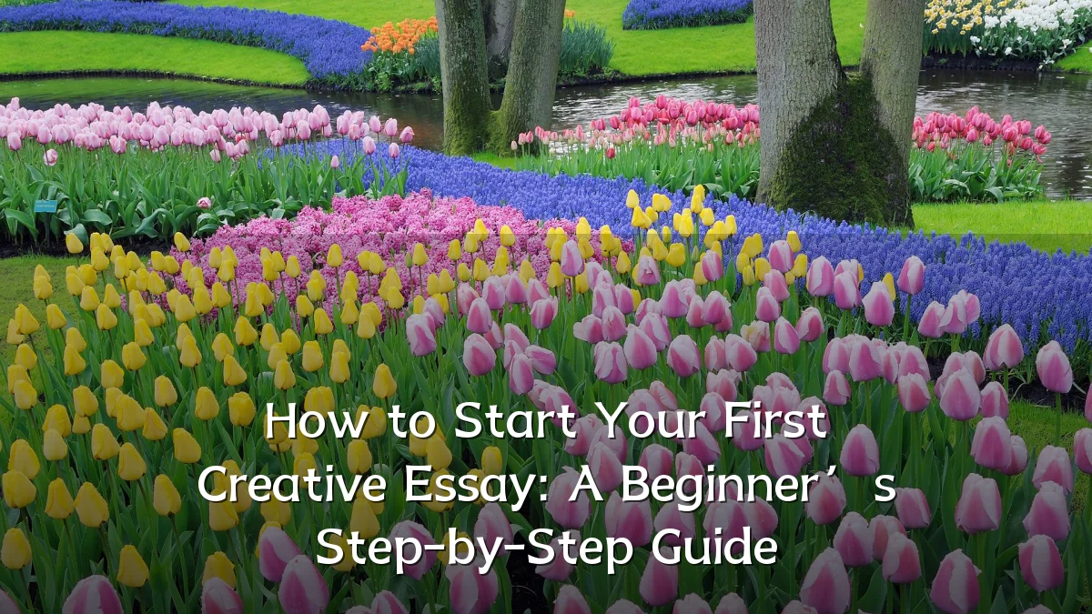 How to Start Your First Creative Essay: A Beginner’s Step-by-Step Guide