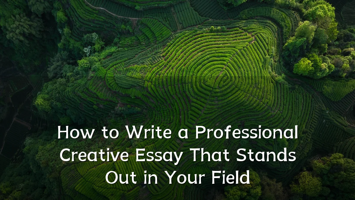 How to Write a Professional Creative Essay That Stands Out in Your Field