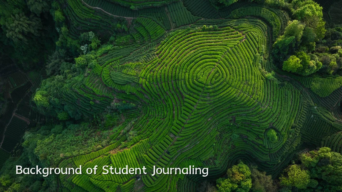 Background of Student Journaling