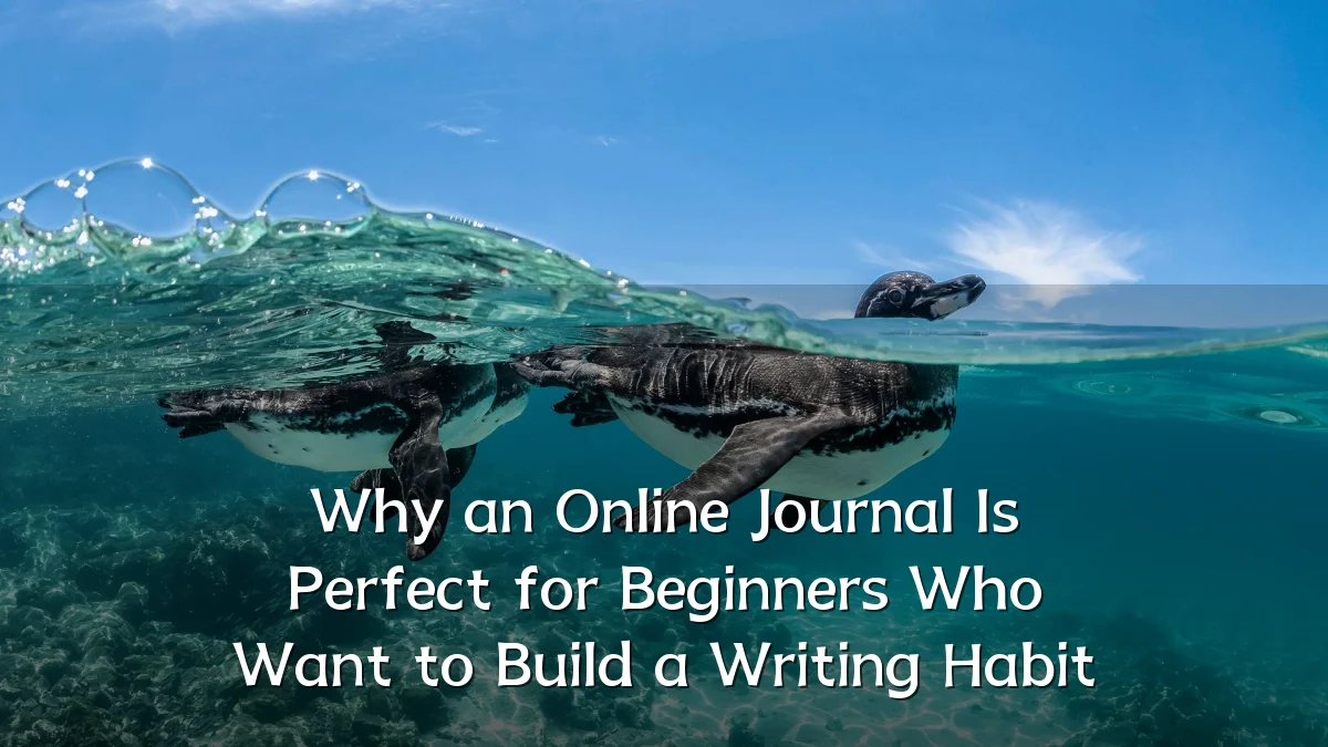 Why an Online Journal Is Perfect for Beginners Who Want to Build a Writing Habit