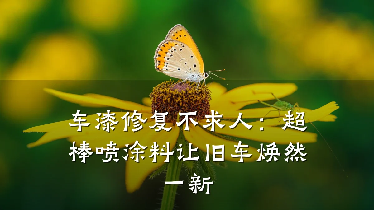 车漆修复不求人:超棒喷涂料让旧车焕然一新