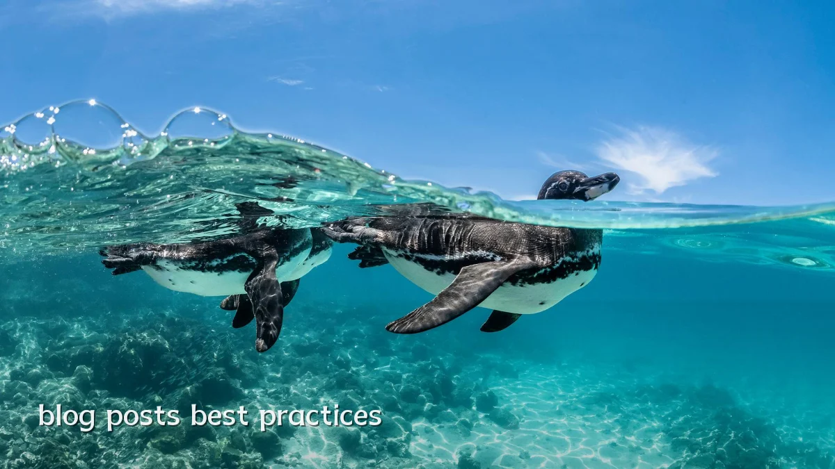 blog posts best practices