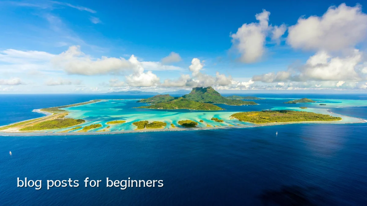 blog posts for beginners