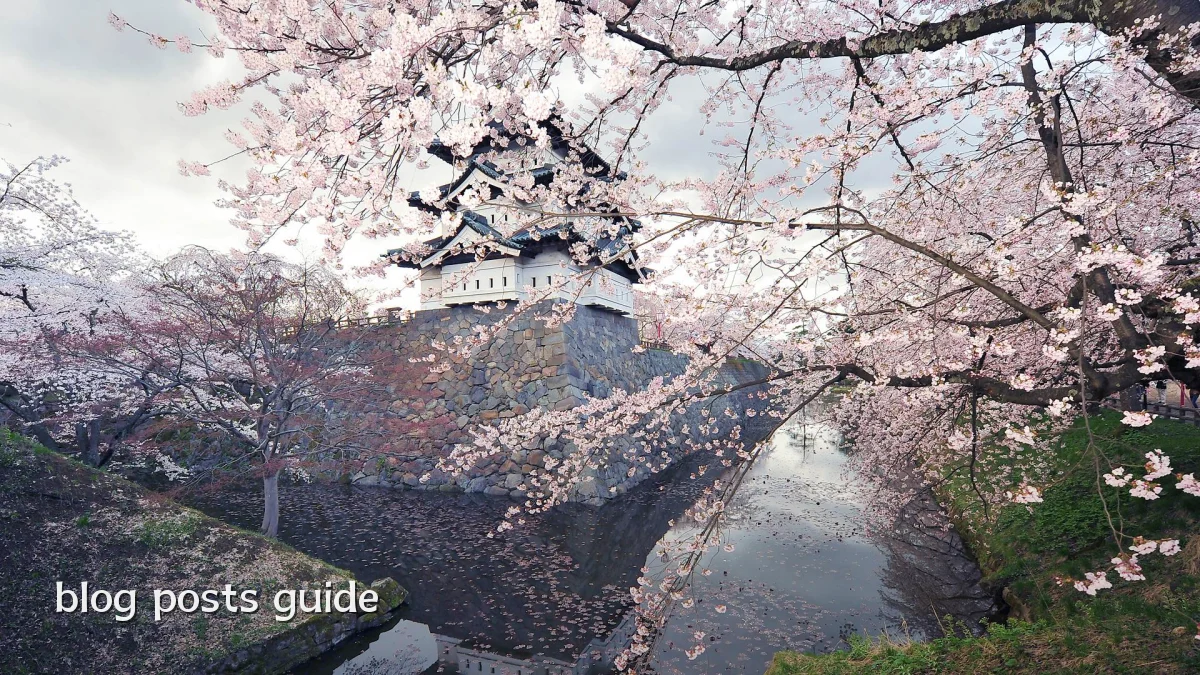 blog posts guide