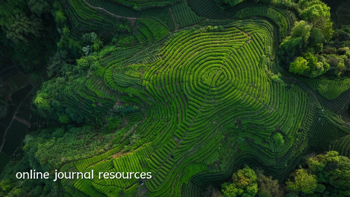 online journal resources