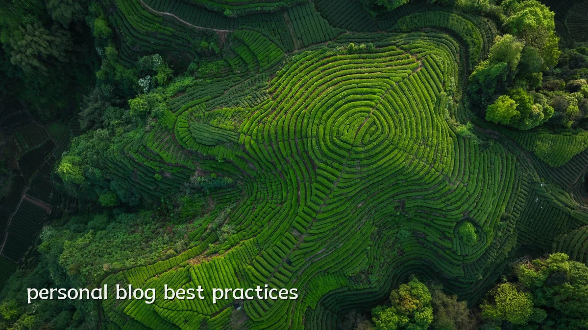 personal blog best practices