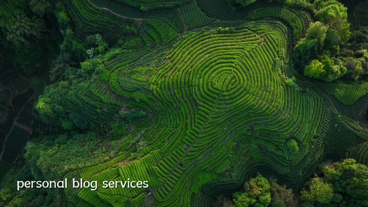 personal blog services