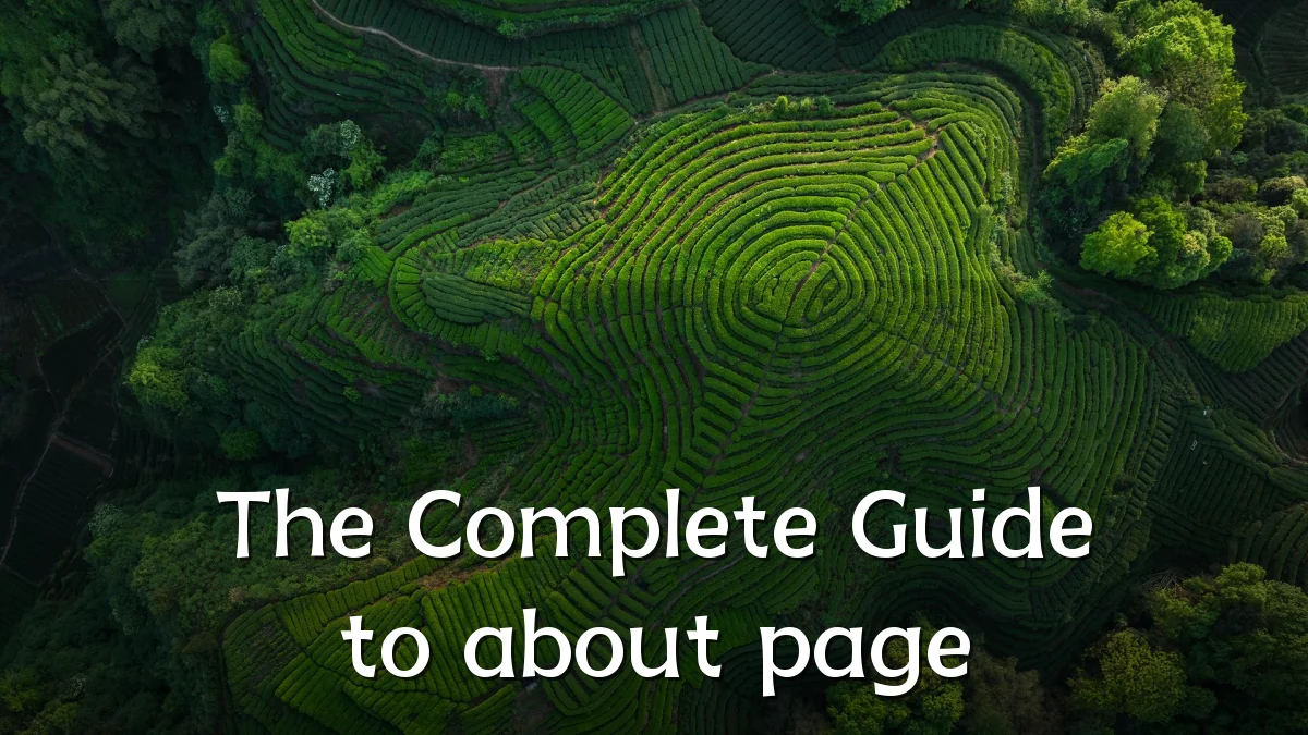 The Complete Guide to about page