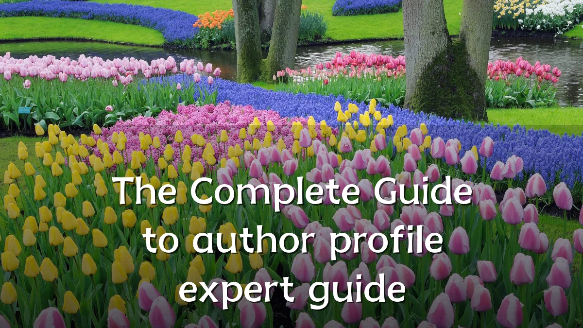 The Complete Guide to author profile expert guide