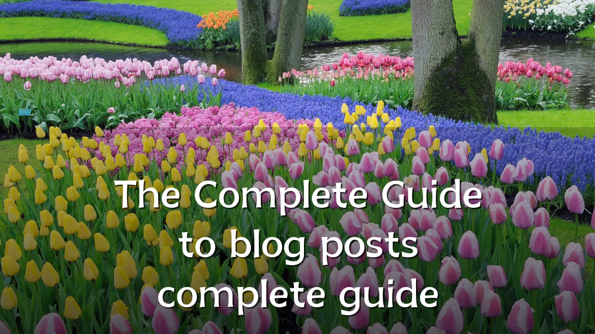 The Complete Guide to blog posts complete guide