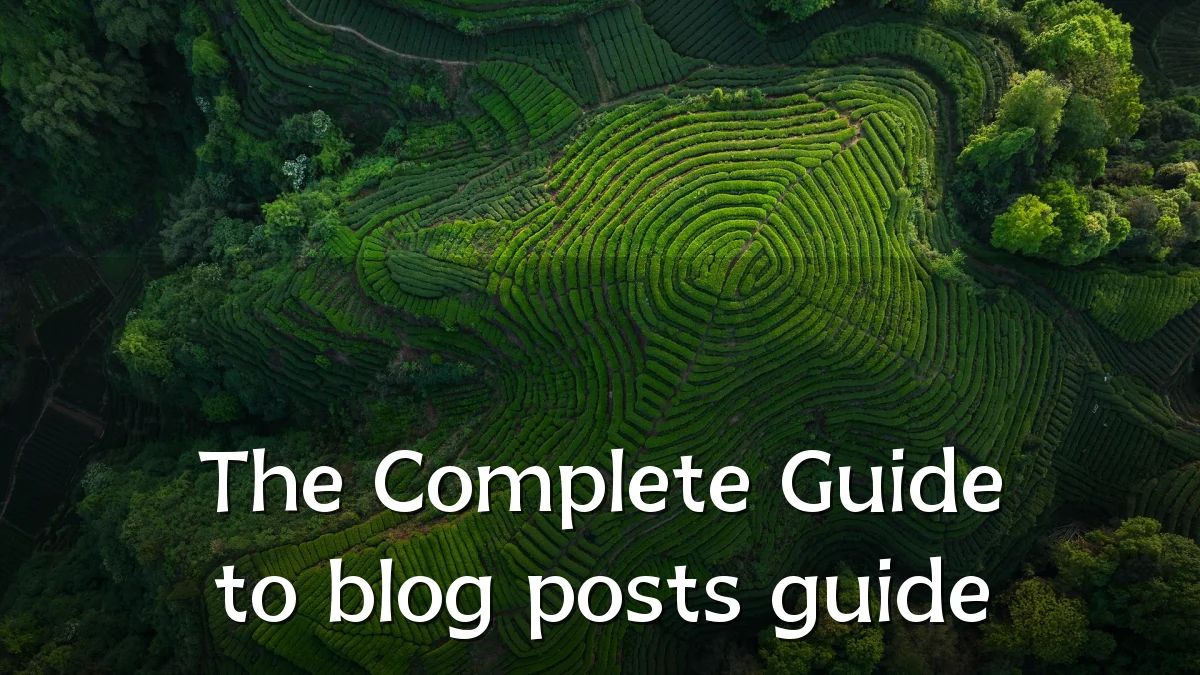 The Complete Guide to blog posts guide