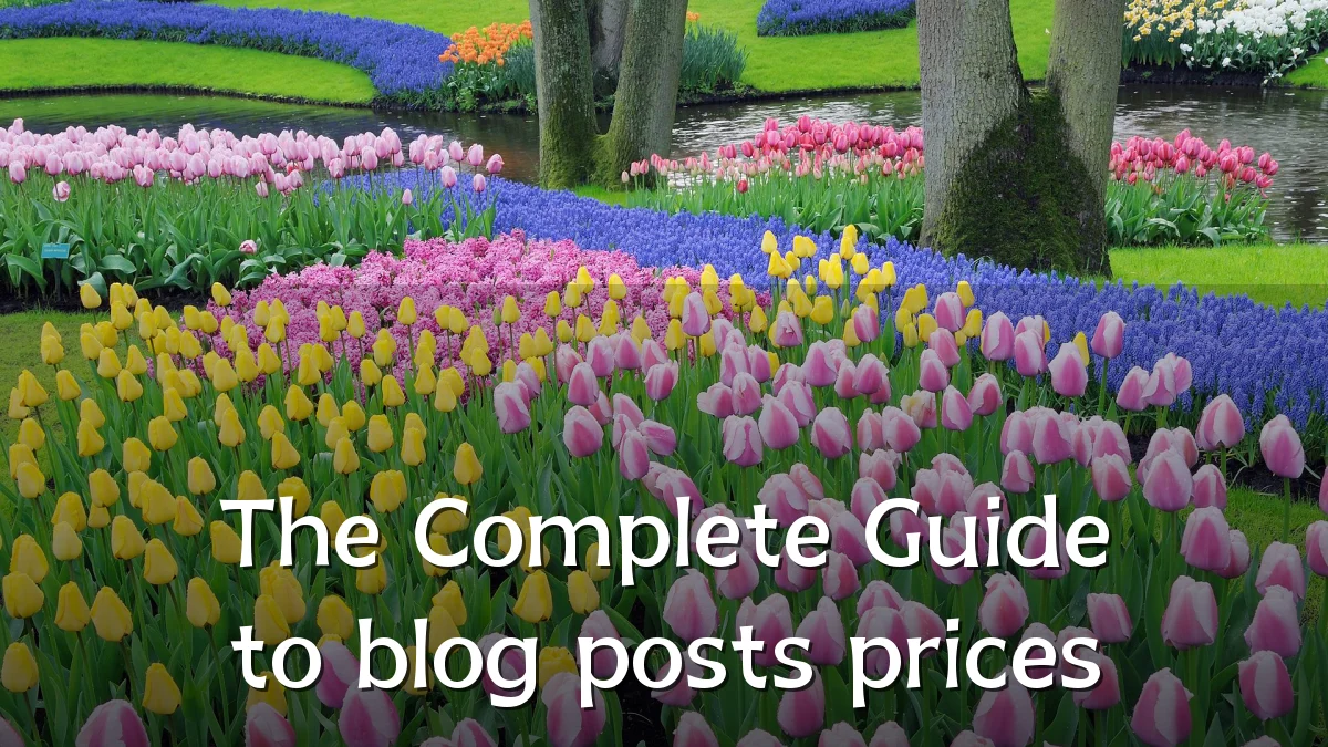 The Complete Guide to blog posts prices