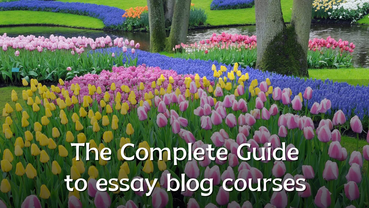 The Complete Guide to essay blog courses