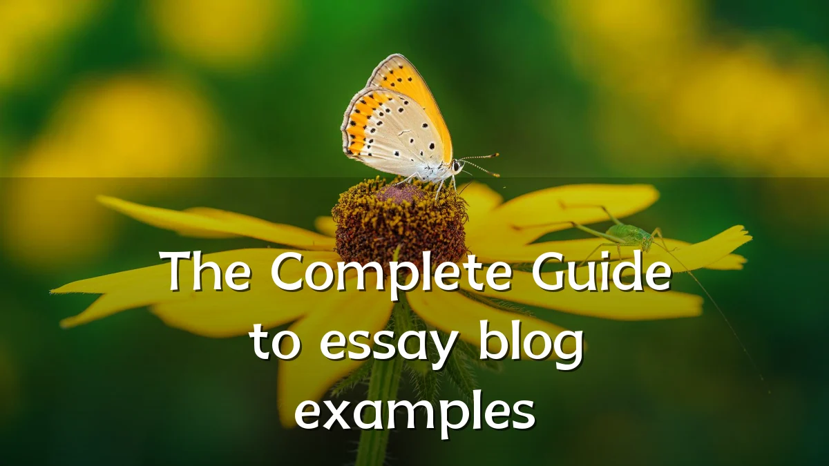 The Complete Guide to essay blog examples