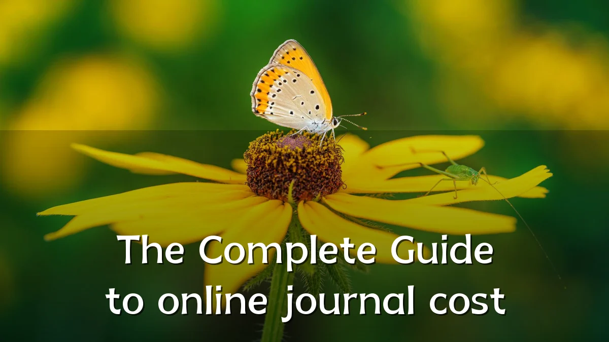 The Complete Guide to online journal cost