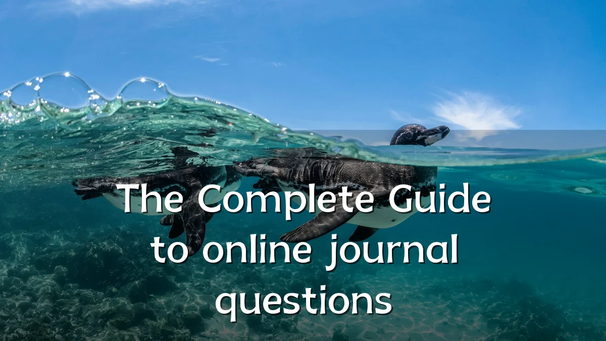 The Complete Guide to online journal questions