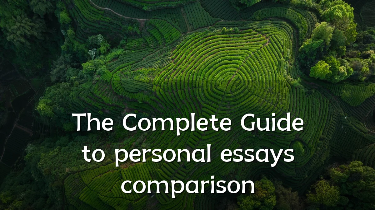 The Complete Guide to personal essays comparison