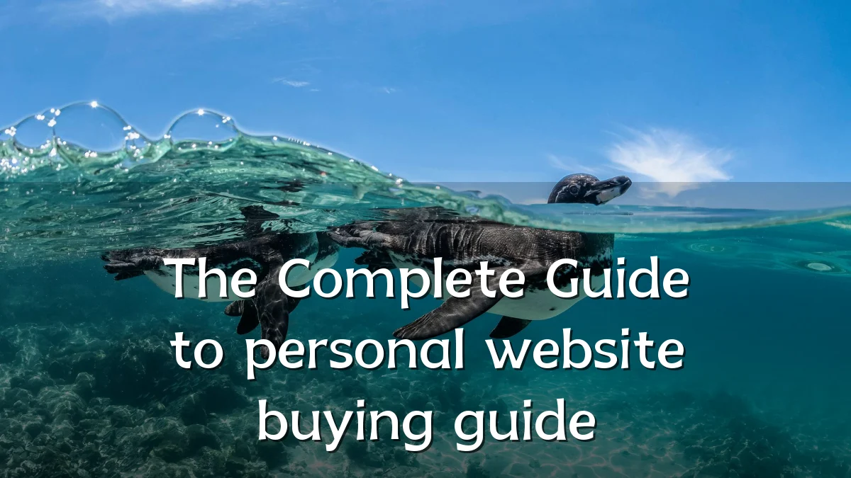 The Complete Guide to personal website buying guide