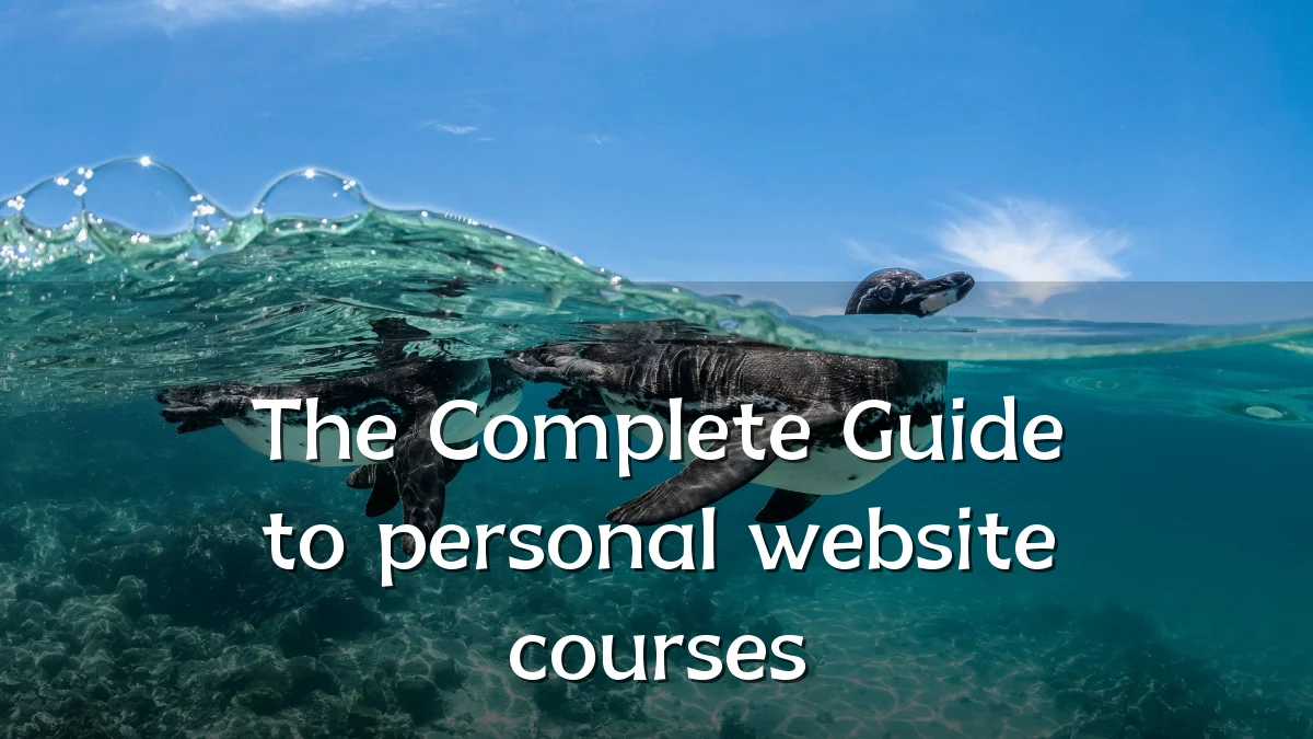 The Complete Guide to personal website courses