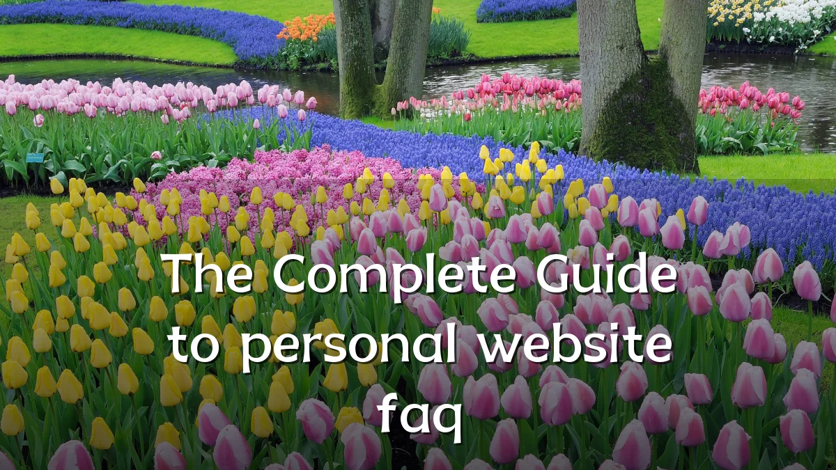 The Complete Guide to personal website faq