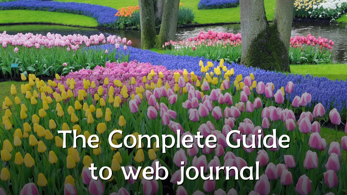 The Complete Guide to web journal