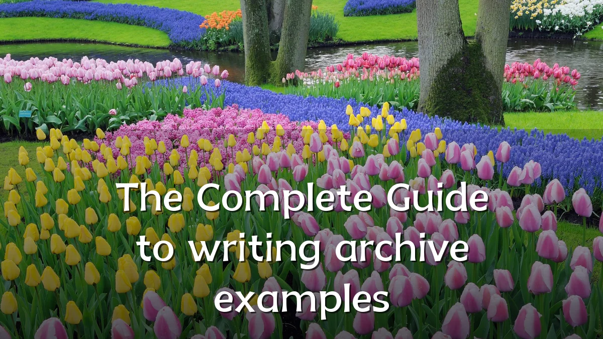 The Complete Guide to writing archive examples